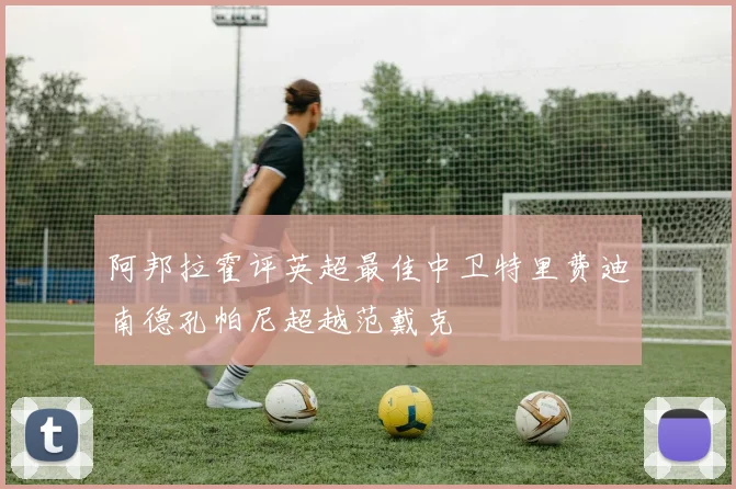 阿邦拉霍评英超最佳中卫特里费迪南德孔帕尼超越范戴克